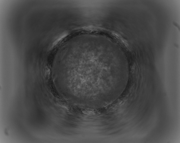 X0000095671302200801221155