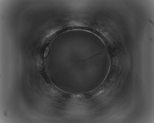 X0000095671303200801221155