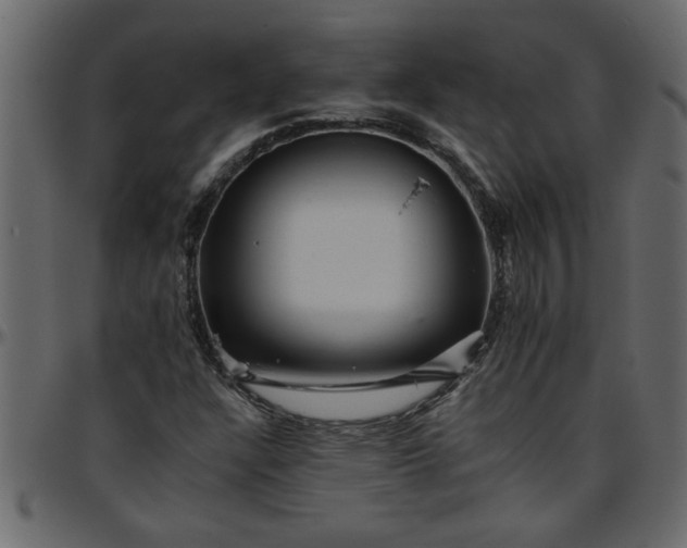 X0000095671304200801221155