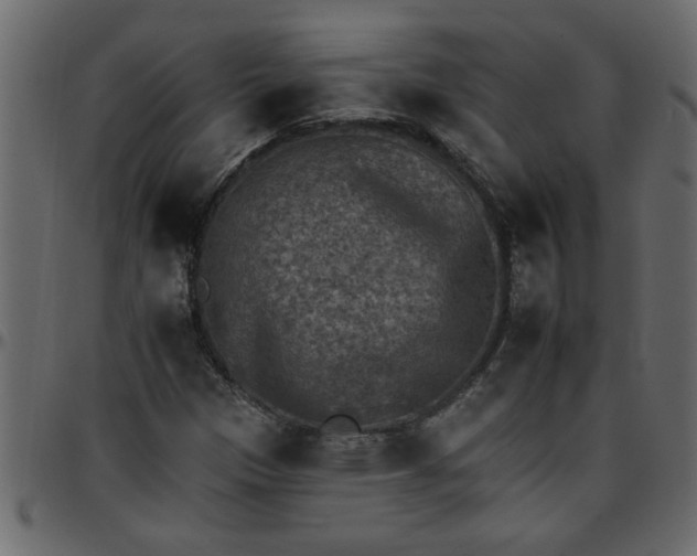 X0000095671305200801221155