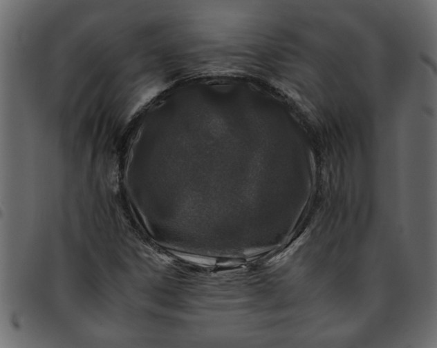 X0000095671306200801221155