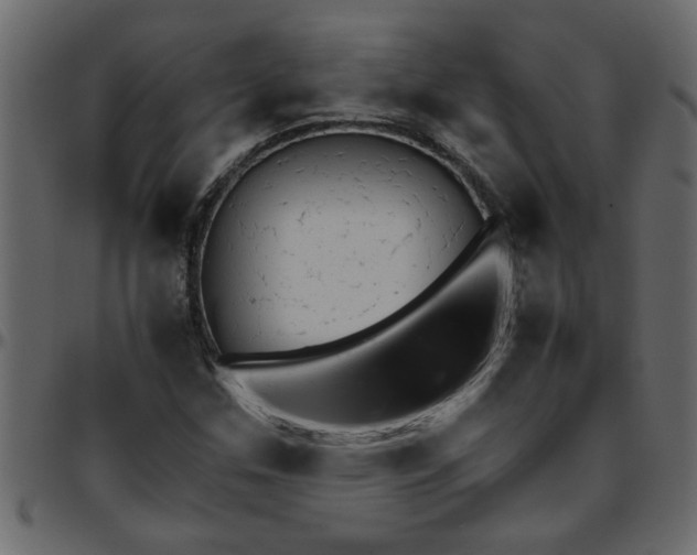 X0000095671307200801221155