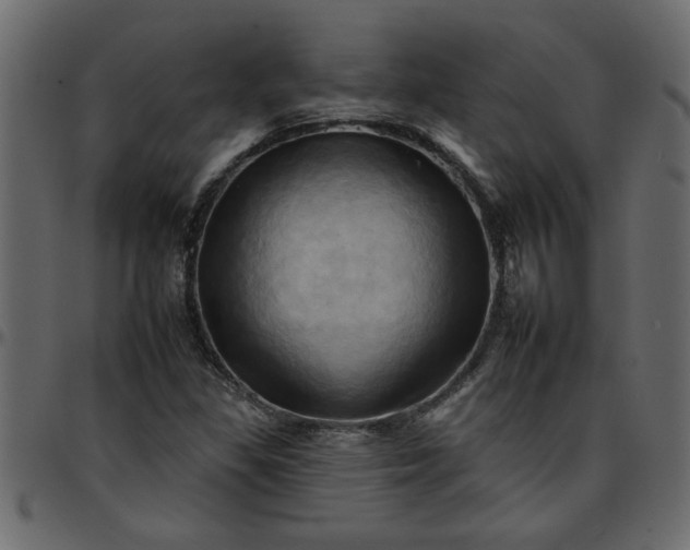 X0000095671309200801221155