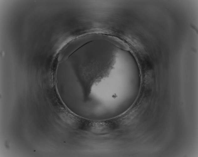 X0000095671310200801221155