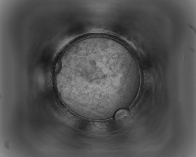 X0000095671311200801221155