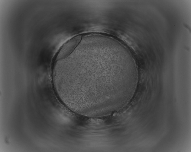 X0000095671312200801221155