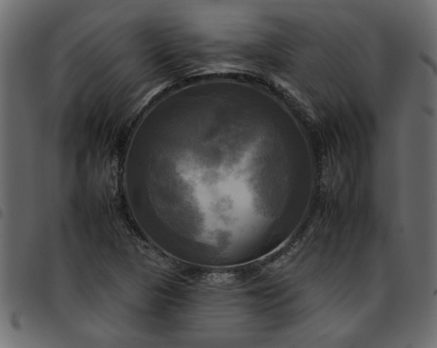 X0000095671313200801221156