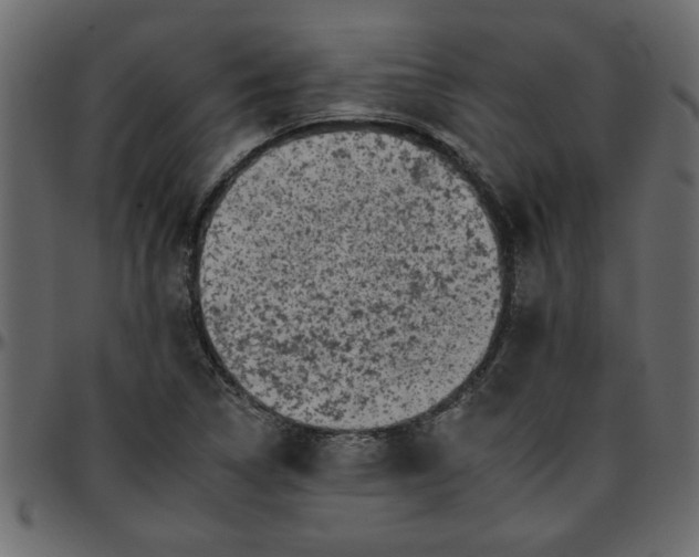 X0000095671314200801221156