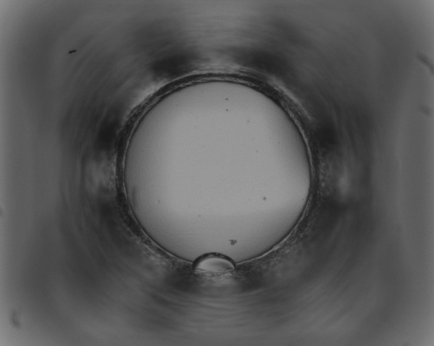 X0000095671315200801221156