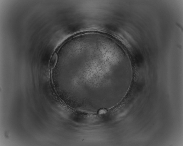 X0000095671316200801221156