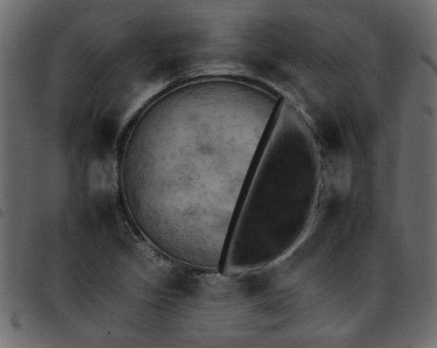 X0000095671317200801221156