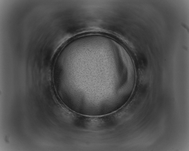 X0000095671318200801221156