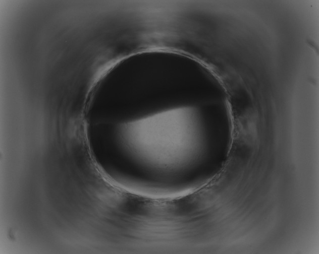 X0000095671319200801221156