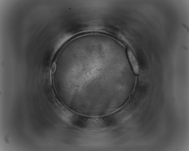 X0000095671320200801221156