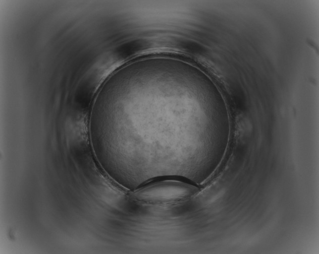 X0000095671321200801221156