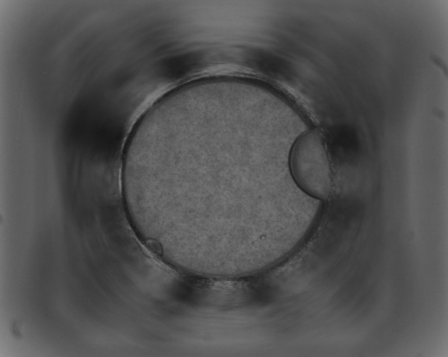 X0000095671322200801221156