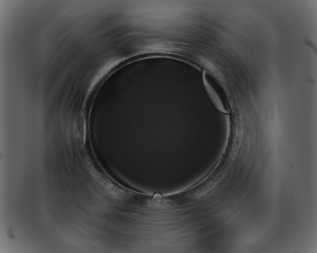 X0000095671323200801221156