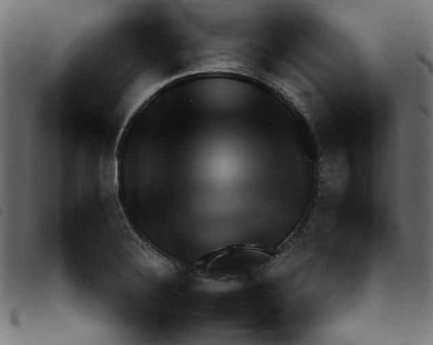 X0000095671324200801221156