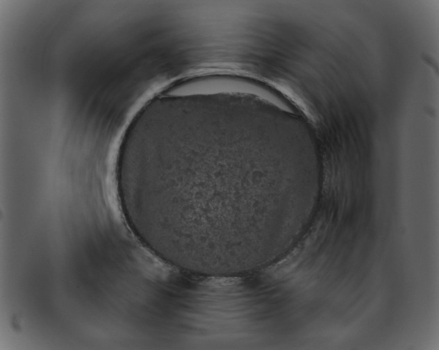 X0000095671325200801221156