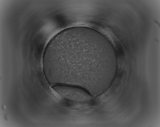 X0000095671328200801221156