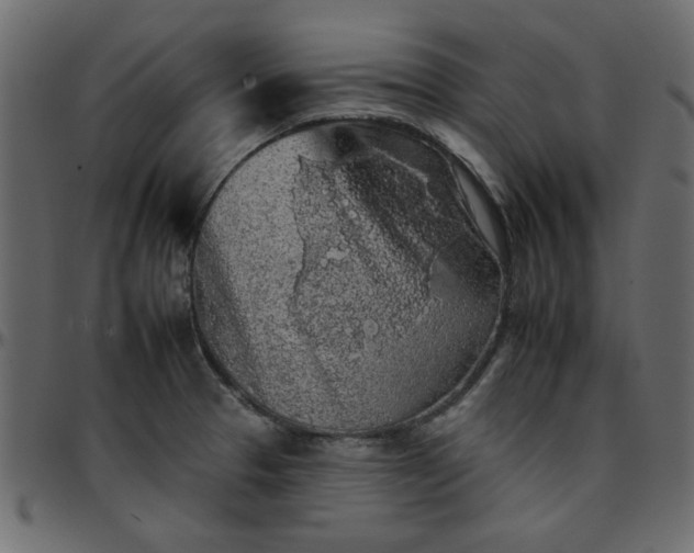 X0000095671329200801221156