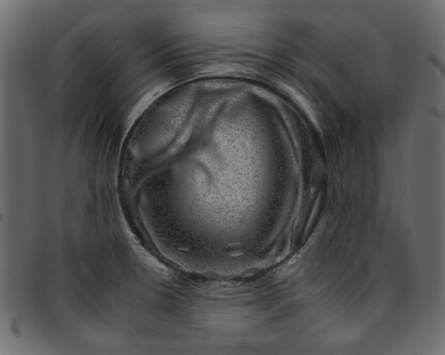 X0000095671330200801221156