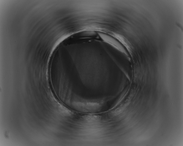 X0000095671331200801221156