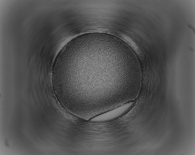 X0000095671332200801221156