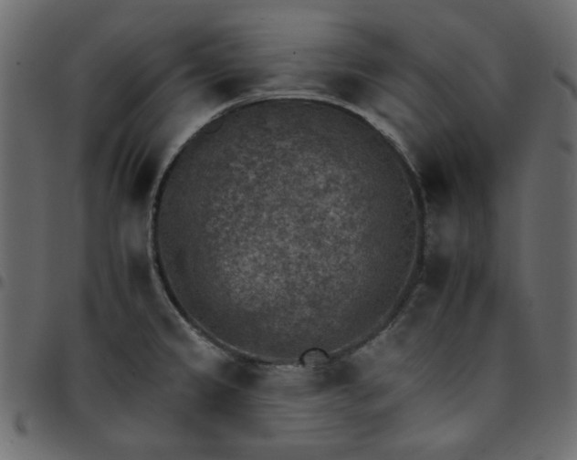 X0000095671333200801221156