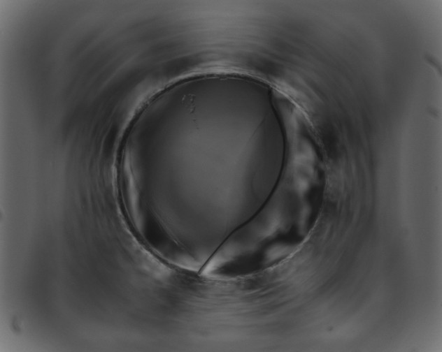 X0000095671334200801221156