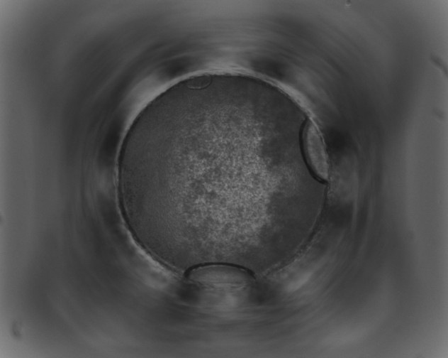 X0000095671335200801221156