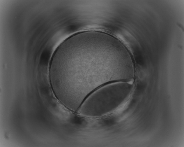 X0000095671336200801221156