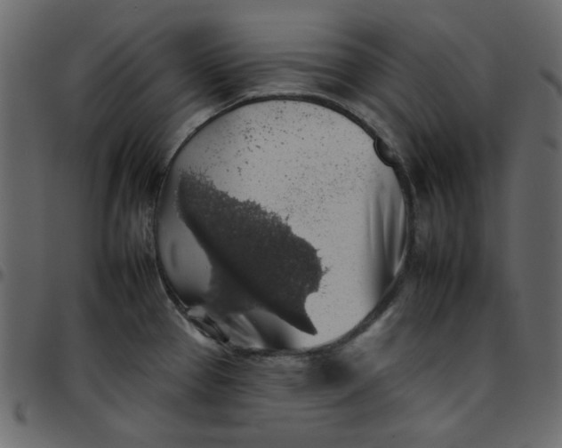 X0000095671337200801221156