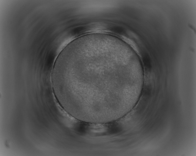 X0000095671338200801221156