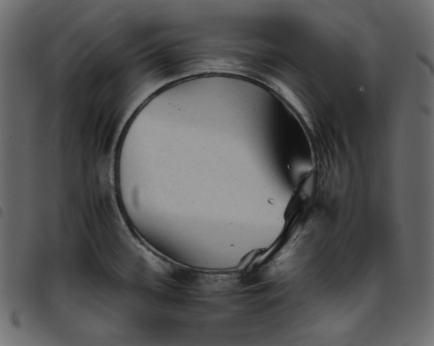 X0000095671339200801221156