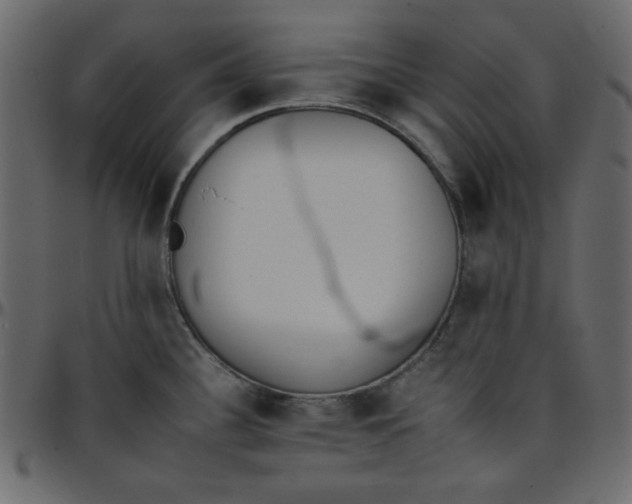 X0000095671340200801221156