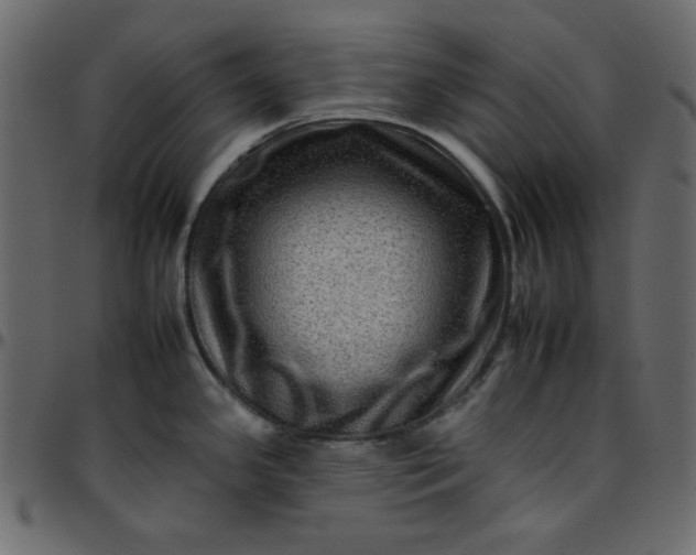 X0000095671341200801221156