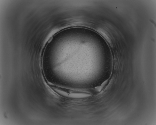 X0000095671342200801221156