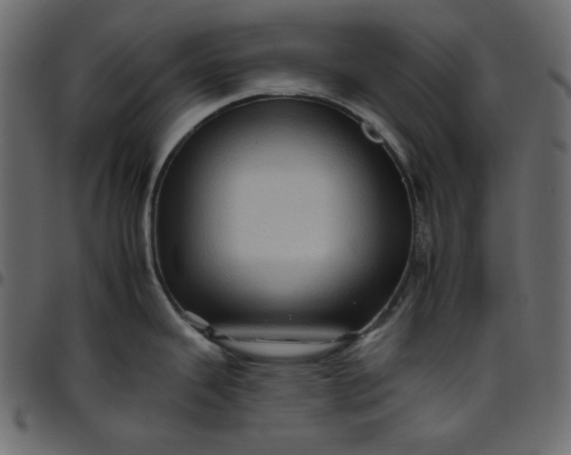 X0000095671343200801221156