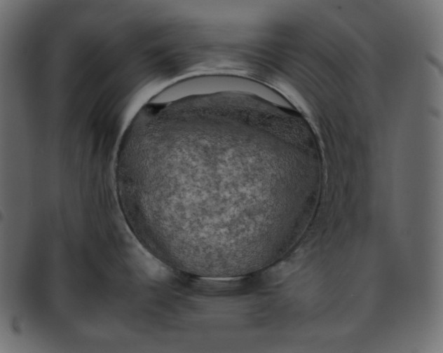 X0000095671344200801221156