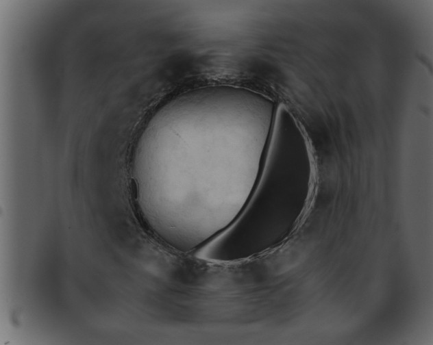 X0000095671345200801221155