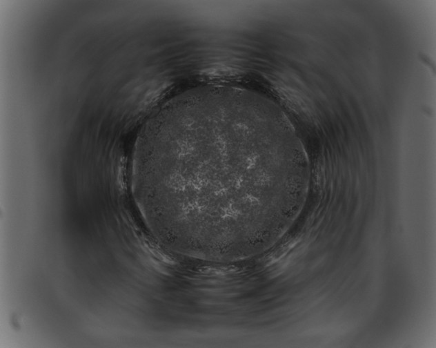 X0000095671346200801221155