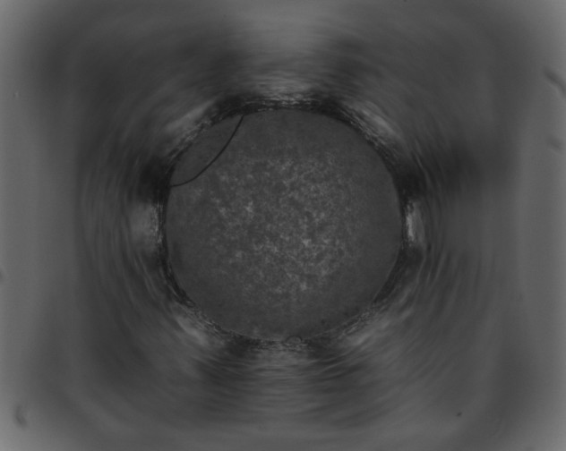 X0000095671347200801221155