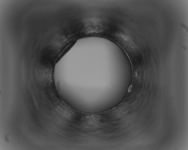 X0000095671348200801221155