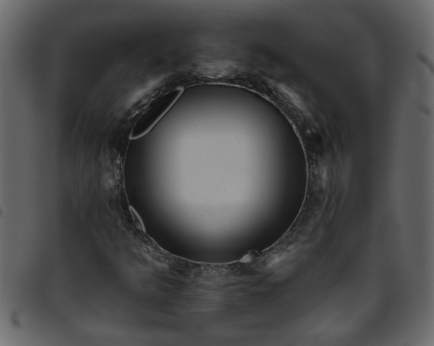 X0000095671349200801221155