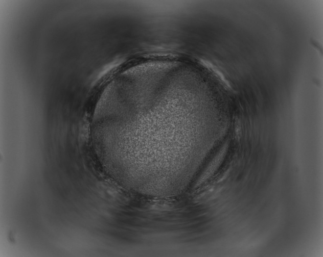 X0000095671350200801221155