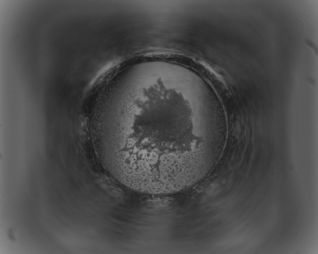 X0000095671351200801221155