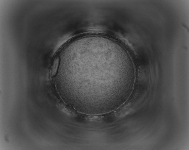 X0000095671352200801221155