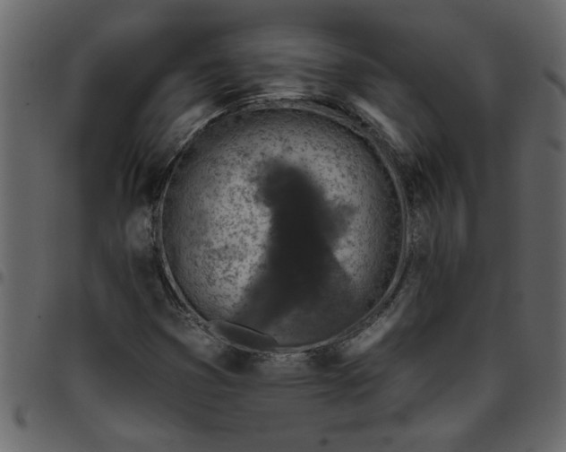 X0000095671353200801221155