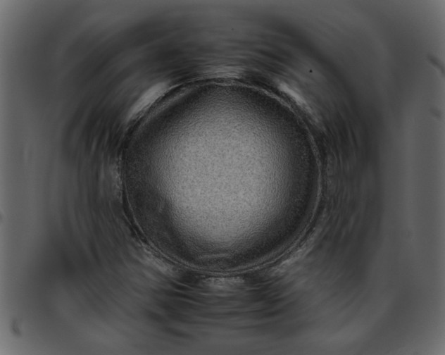 X0000095671354200801221155